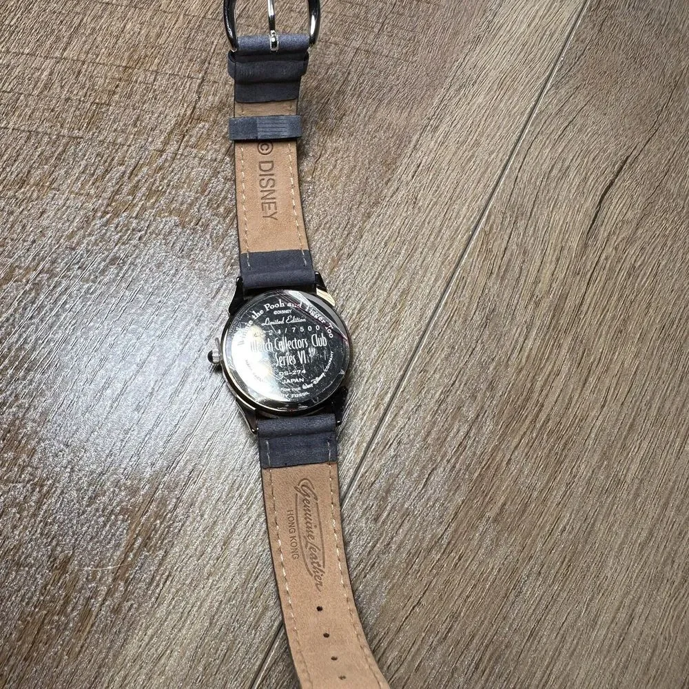 Disney WINNIE‎ THE POOH AND TIGGER TOO skittish skating Watch DS-274
